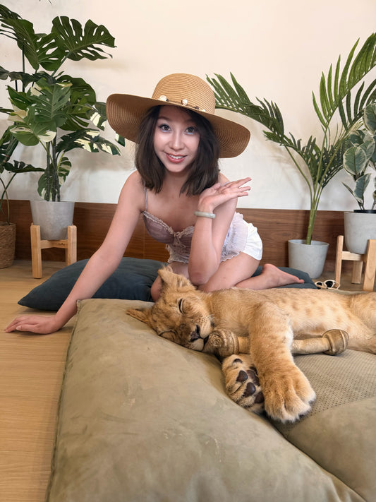 Get your Photo with a Baby Lion